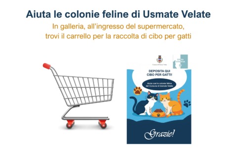 Al via la raccolta di cibo per le colonie feline
