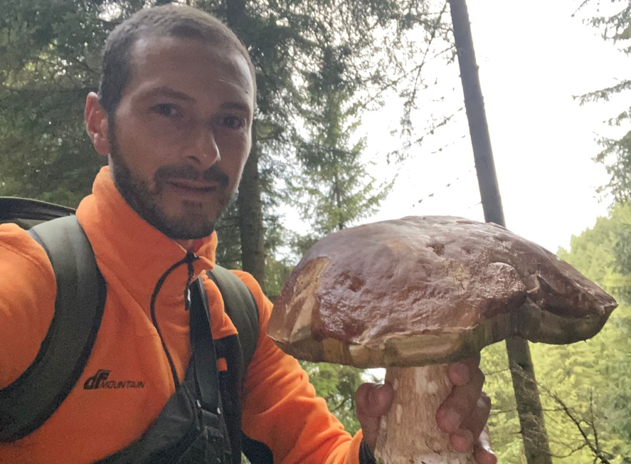 Trova un mega fungo porcino da 1 chilo e 250 grammi in Valtellina