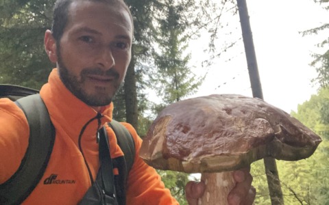 Trova un mega fungo porcino da 1 chilo e 250 grammi in Valtellina