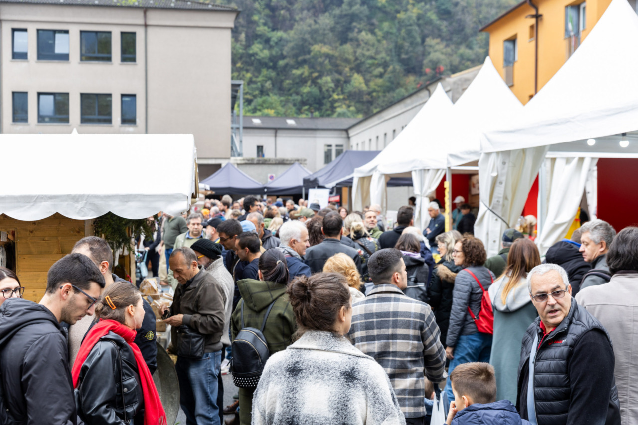 Mostra del Bitto: a Morbegno, in Valtellina, tradizione e gusto