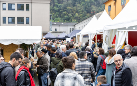 Mostra del Bitto: a Morbegno, in Valtellina, tradizione e gusto