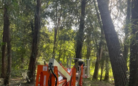 Maltempo di luglio, in corso i lavori di sistemazione dei parchi