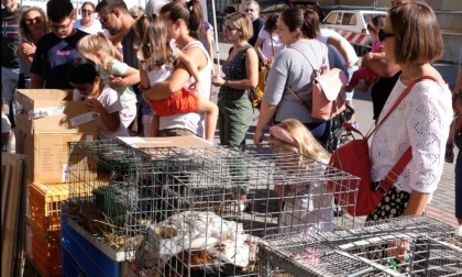 Alla festa un oculista per consigli e consulenze gratis