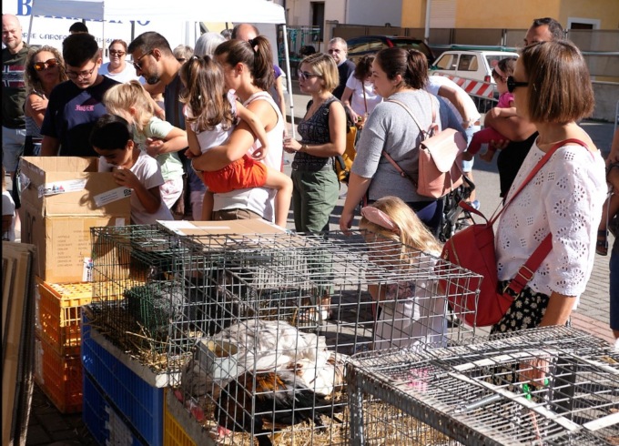 Alla festa un oculista per consigli e consulenze gratis
