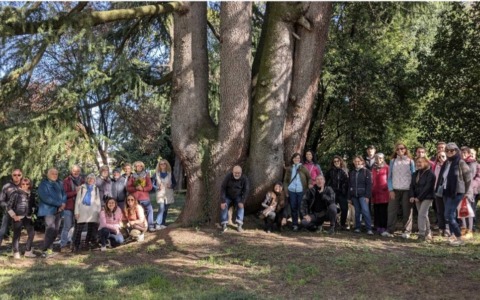 Un successo la prima passeggiata alla scoperta degli alberi monumentali
