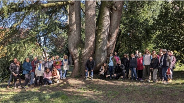 Un successo la prima passeggiata alla scoperta degli alberi monumentali