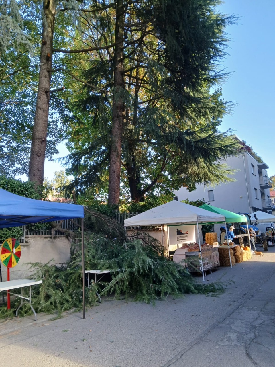 Tragedia sfiorata durante i preparativi della festa d’autunno
