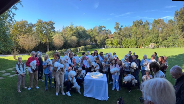 «Tutti pazzi» per i cani Bolognesi… 65 appassionati al raduno annuale
