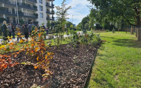 Nuovo giardino in via Spallanzani, lavori completati