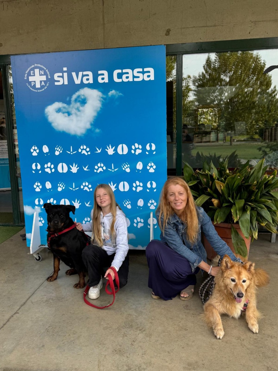 Il suo cane muore all’improvviso, adozione del cuore dell’onorevole