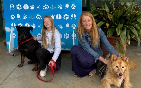Il suo cane muore all’improvviso, adozione del cuore dell’onorevole