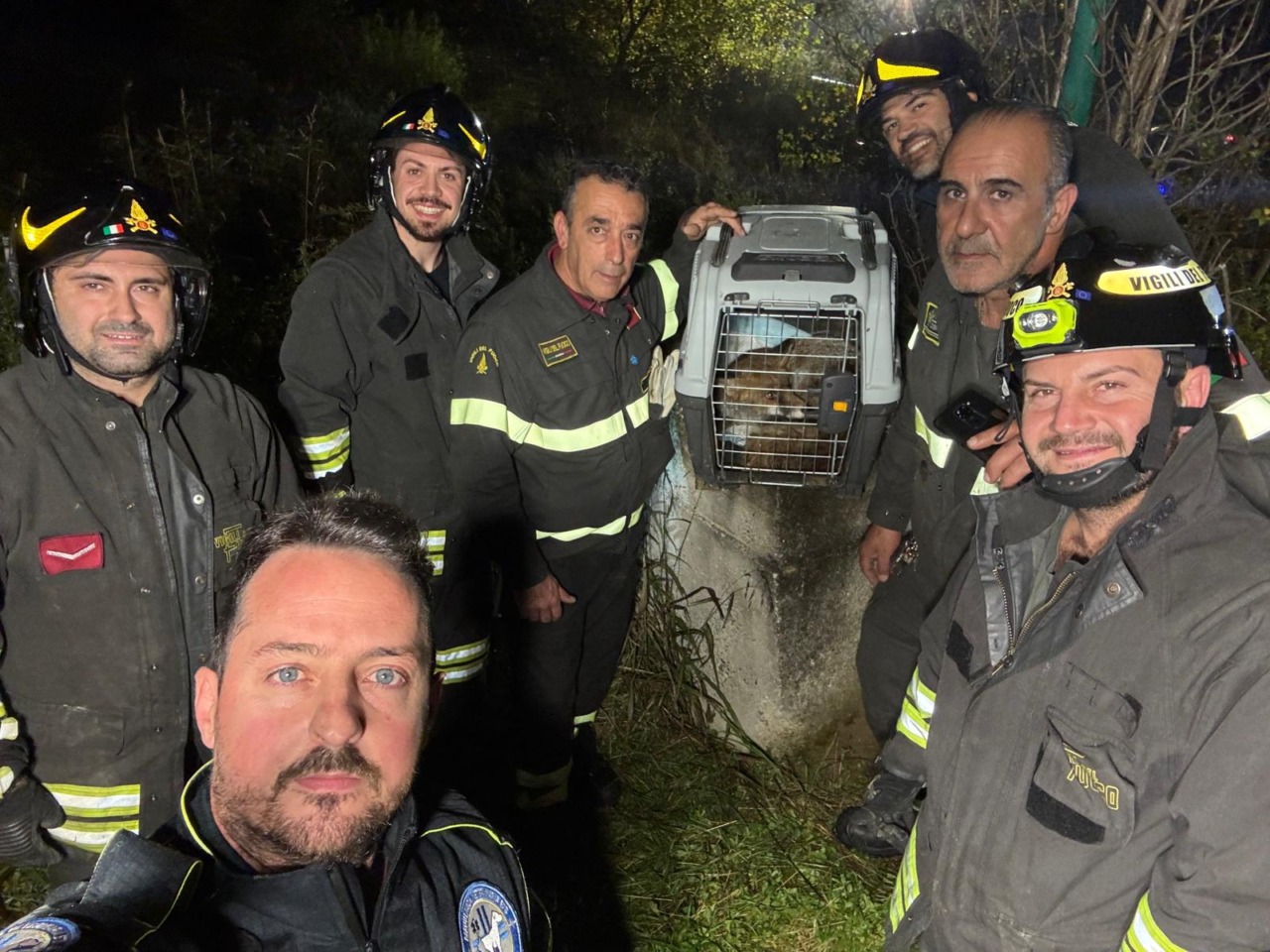 Il paese va in blackout internet per via di… una volpe