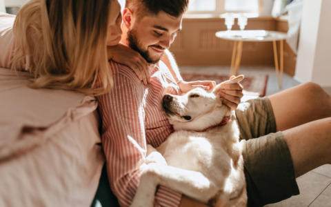 Primi giorni di un cane adottato: che cosa fare? Alcuni consigli