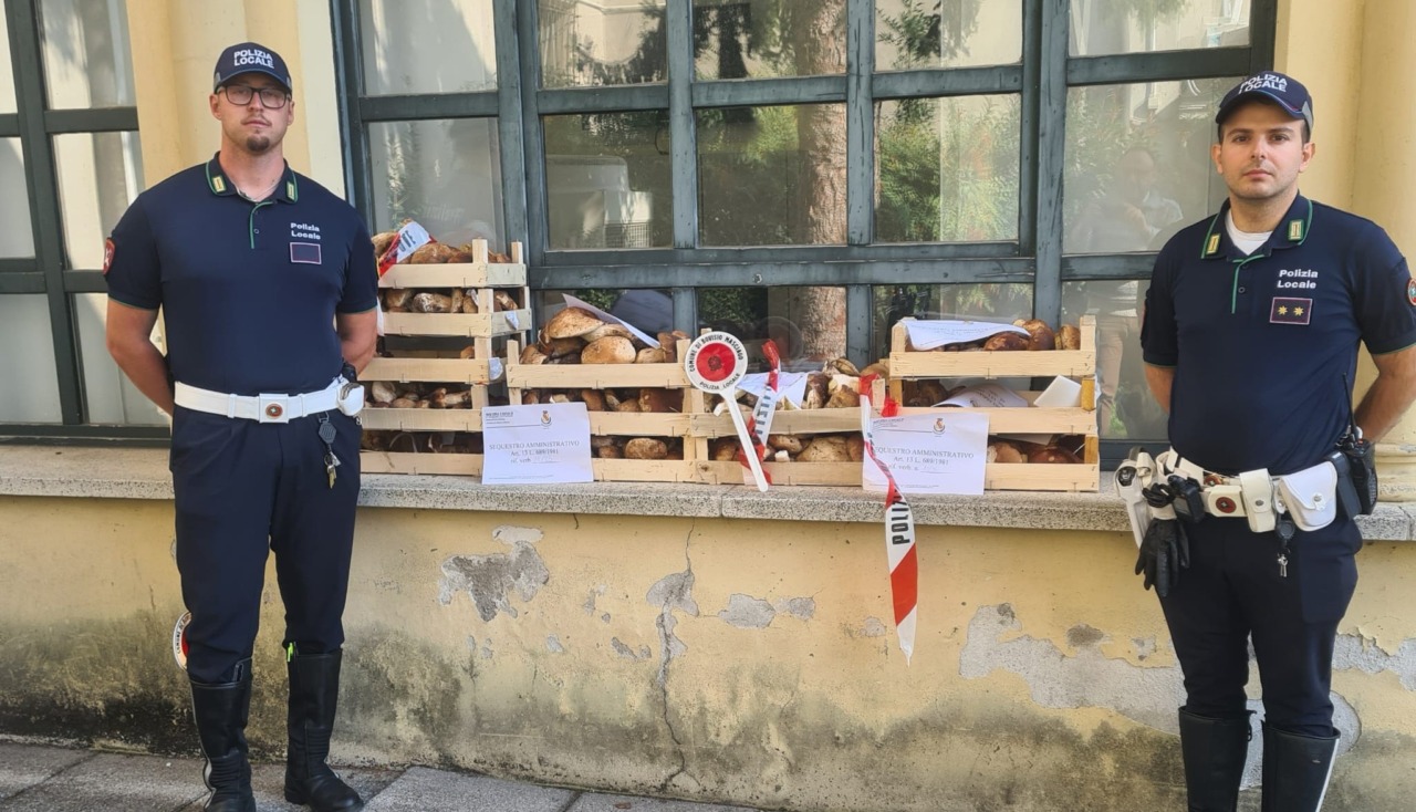 Cinquanta chili di funghi sequestrati al mercato dalla Polizia Locale