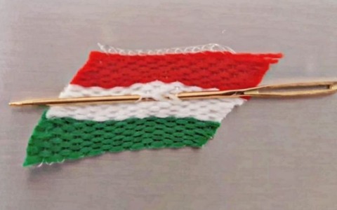 Gügia dóra a Peppino Farina, KSB Italia e Unitalsi