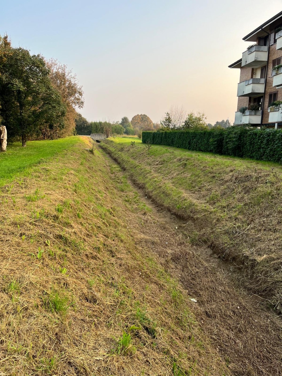 In corso le operazioni di pulizia del Rio Molgorana