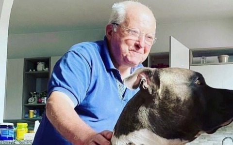 Pensionato muore un mese dopo l’incidente