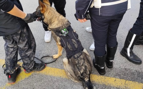 Consumo di sostanze stupefacenti tra giovani e giovanissimi: controlli e sequestri