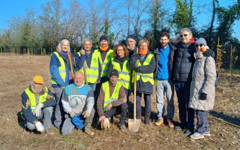 Due eventi speciali per celebrare la Giornata nazionale degli Alberi