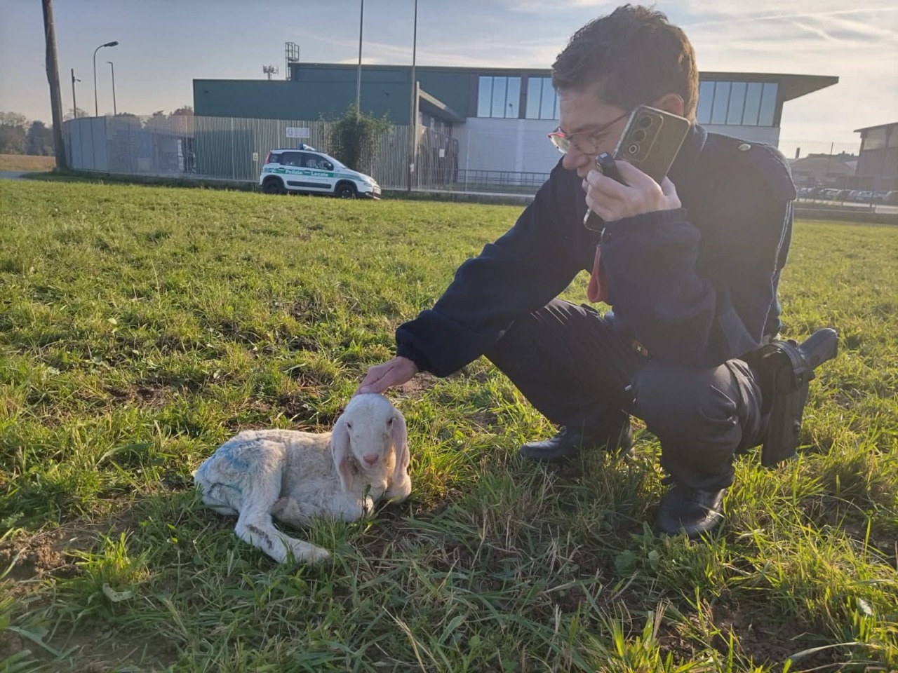 Agnellino disperso in via Piave