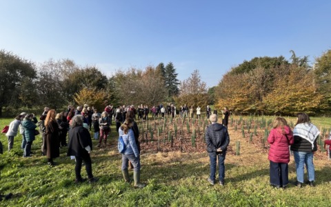 Ecologia, memoria femminile e partecipazione collettiva: ecco il “Bosco Plurale”