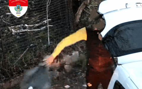 Abbandona rifiuti in una zona isolata ma le fototrappole lo incastrano