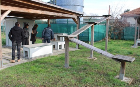 Nasce l’Oasi Felina in via Procaccini, la gestirà l’Enpa