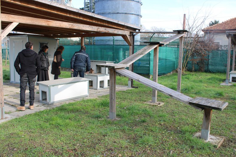 Nasce l’Oasi Felina in via Procaccini, la gestirà l’Enpa