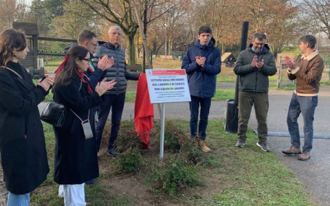 Un albero per impegnarsi a fermare la strage delle morti sul lavoro