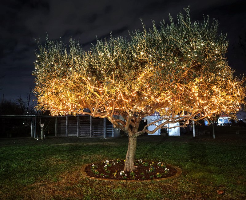 Un pomeriggio di luci e solidarietà a favore di Enpa