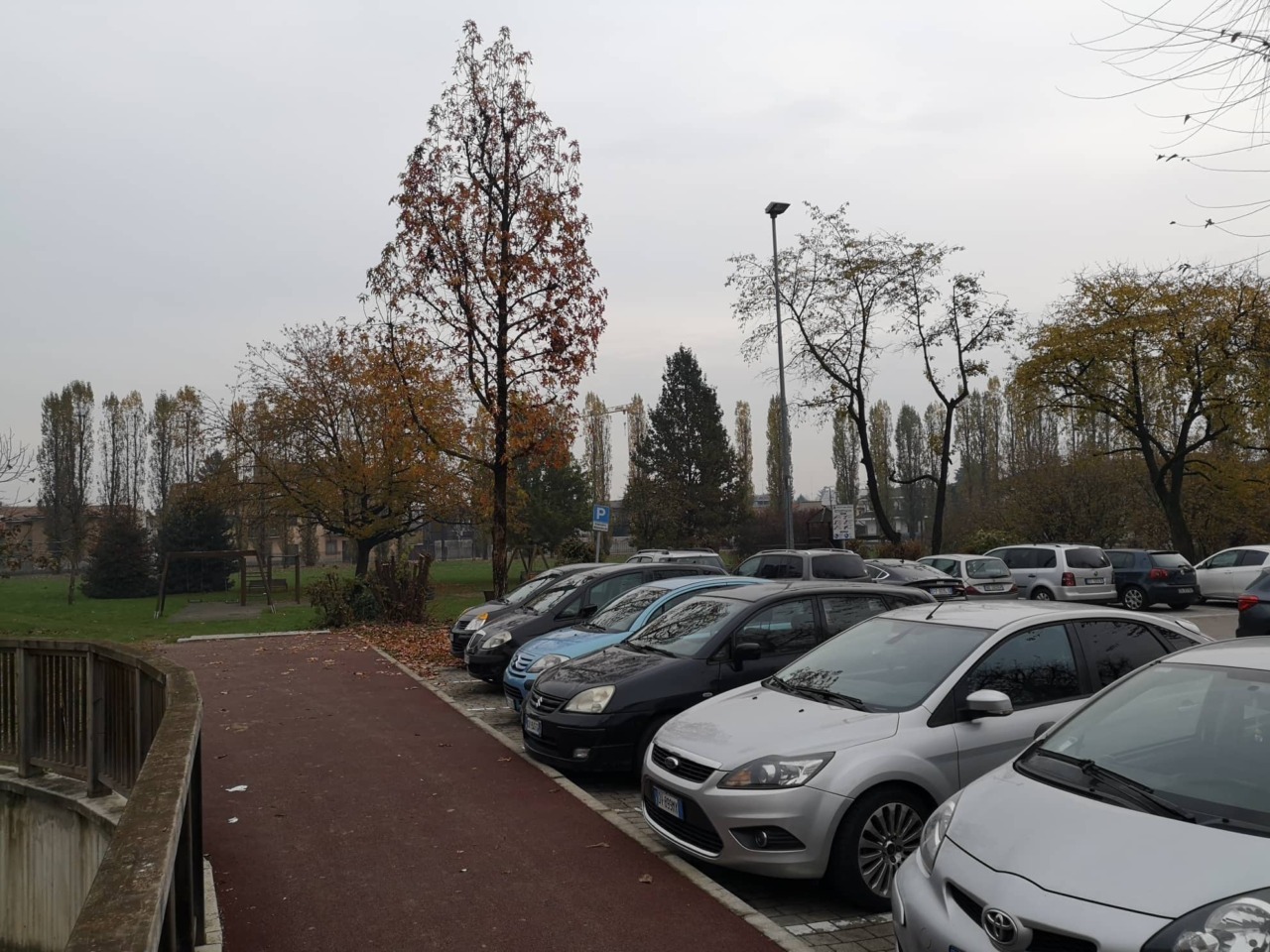 Parcheggio di via Cozzi: ha inizio l’intervento per la tutela delle alberature