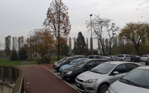 Parcheggio di via Cozzi: ha inizio l’intervento per la tutela delle alberature