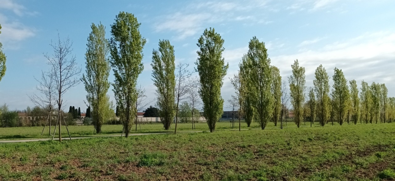 Alleanza tra Parco Grubrìa e Comuni per la transizione ecologica