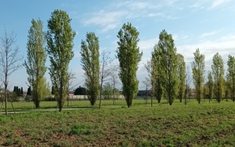 Alleanza tra Parco Grubrìa e Comuni per la transizione ecologica