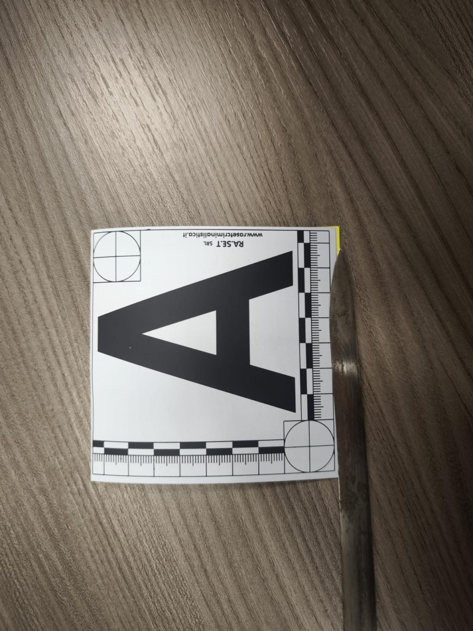 A spasso con una sciabola: denunciato