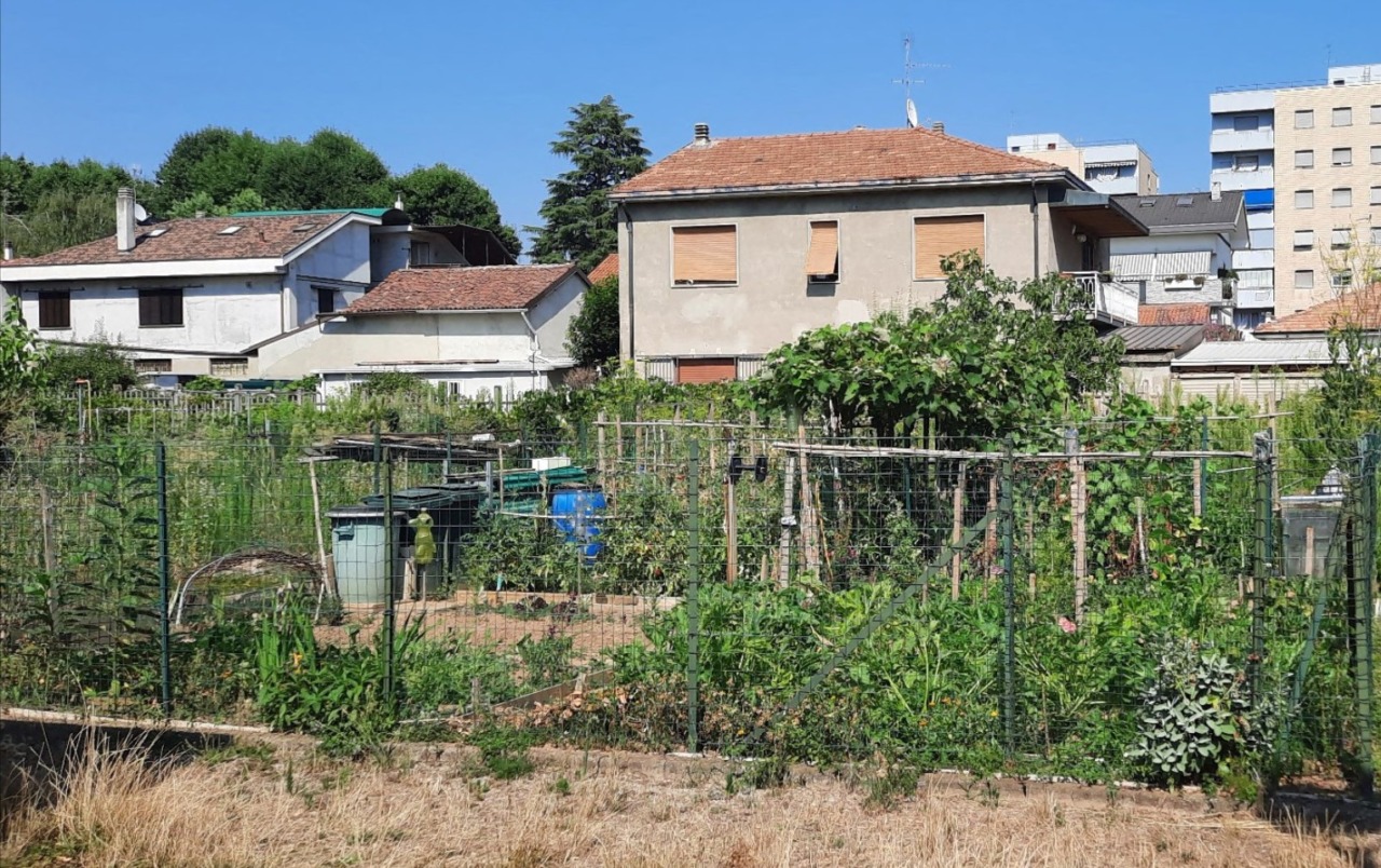 Via libera al progetto per sistemare gli orti comunali