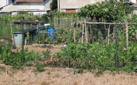 Orti e pollai a rischio  inquinanti: «Servono controlli e analisi accessibili»