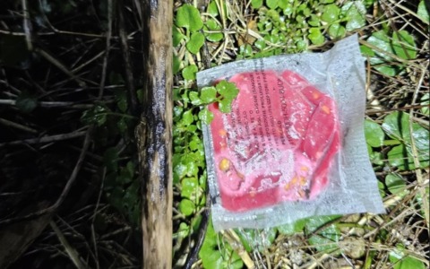 Esche avvelenate: muore un cane