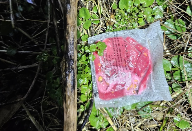 Esche avvelenate: muore un cane