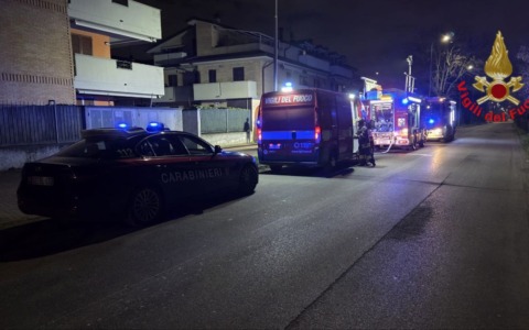 Incendio in un appartamento, salvato un gatto