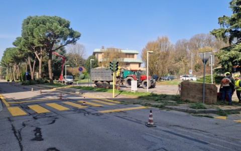Parcheggio “Apollo”: giù i pini, sale la polemica. L’ex sindaco Colombo: “Bertani pensi a ripiantumare, non alle targhe”