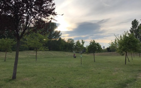 Ancora miasmi a Bernate: il Comitato di quartiere lancia il monitoraggio via email