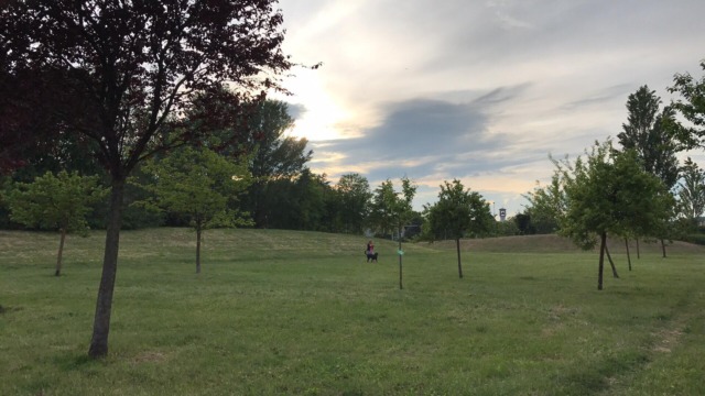 Ancora miasmi a Bernate: il Comitato di quartiere lancia il monitoraggio via email