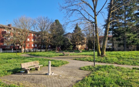 Un albero in memoria di Stefano, volato via subito dopo il matrimonio
