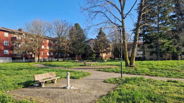 Un albero in memoria di Stefano, volato via subito dopo il matrimonio