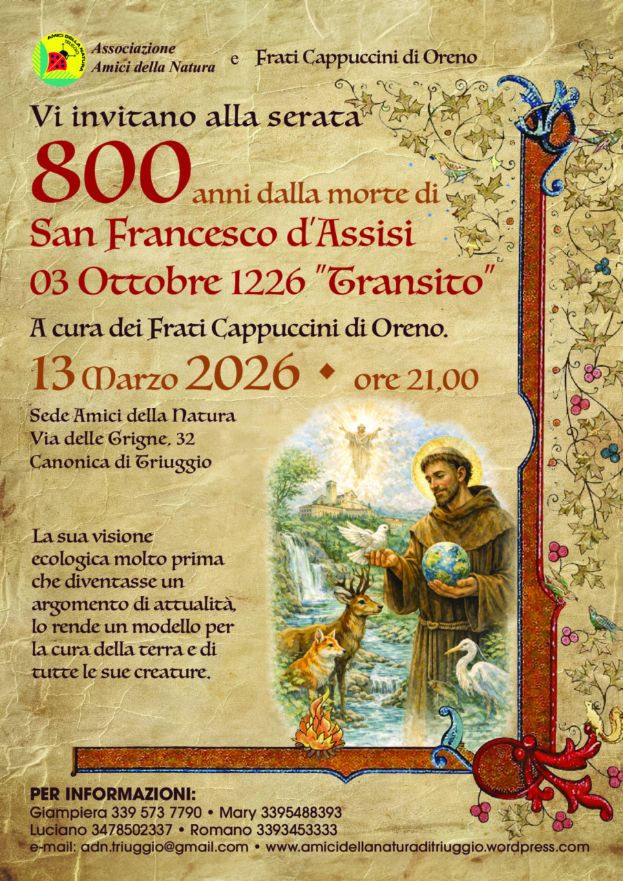 San Francesco d’Assisi: la sua visione ecologica e l’arte