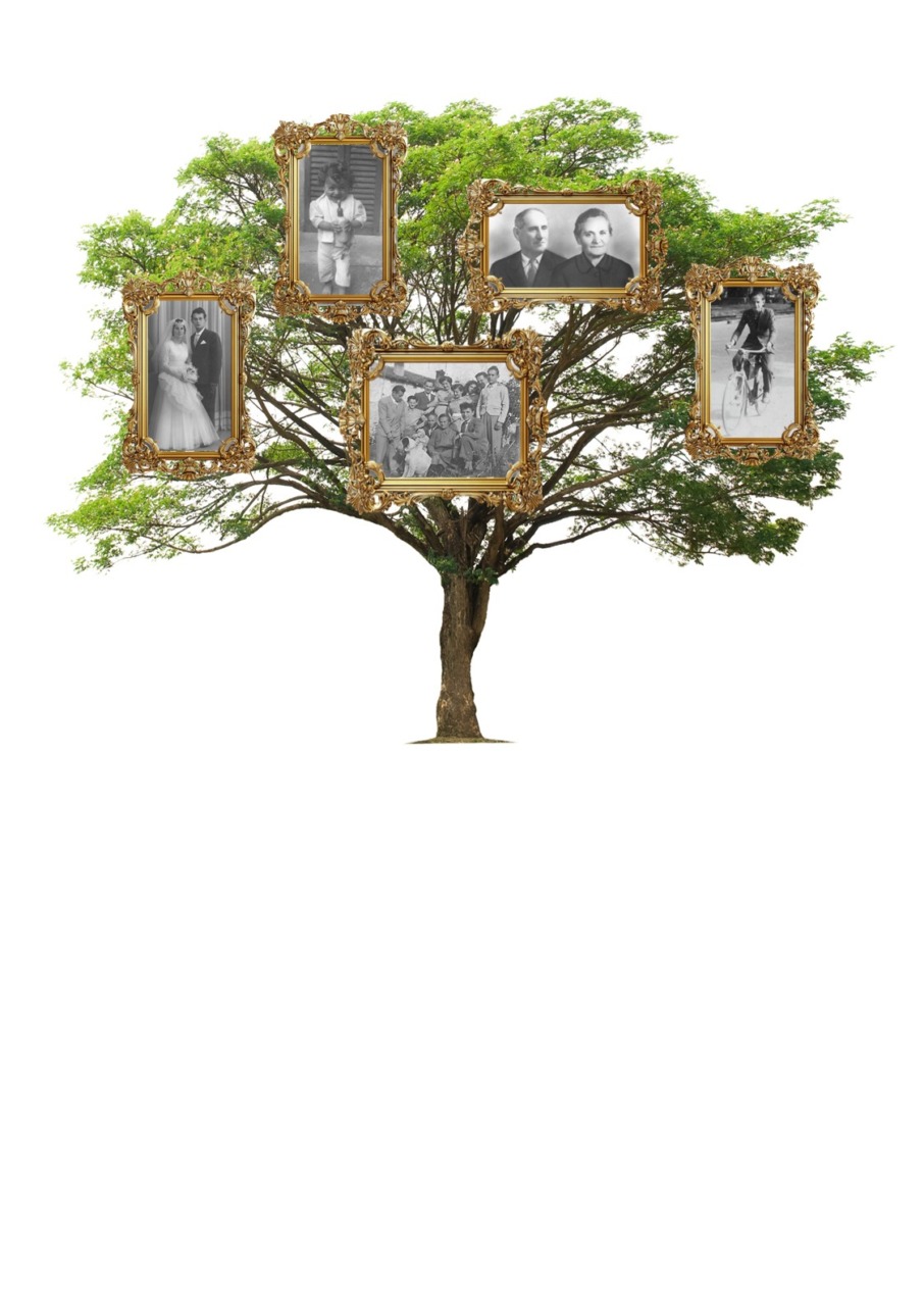 Dalla storia dei Colombo ai cognomi «di fantasia»: focus sulla genealogia brianzola