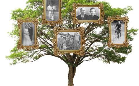 Dalla storia dei Colombo ai cognomi «di fantasia»: focus sulla genealogia brianzola