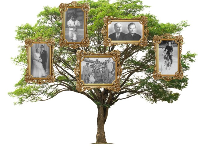 Dalla storia dei Colombo ai cognomi «di fantasia»: focus sulla genealogia brianzola