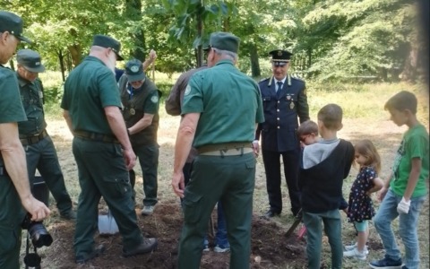 Rifiuti, tutela ambientale, controllo Parco e Villa: i numeri delle Gev